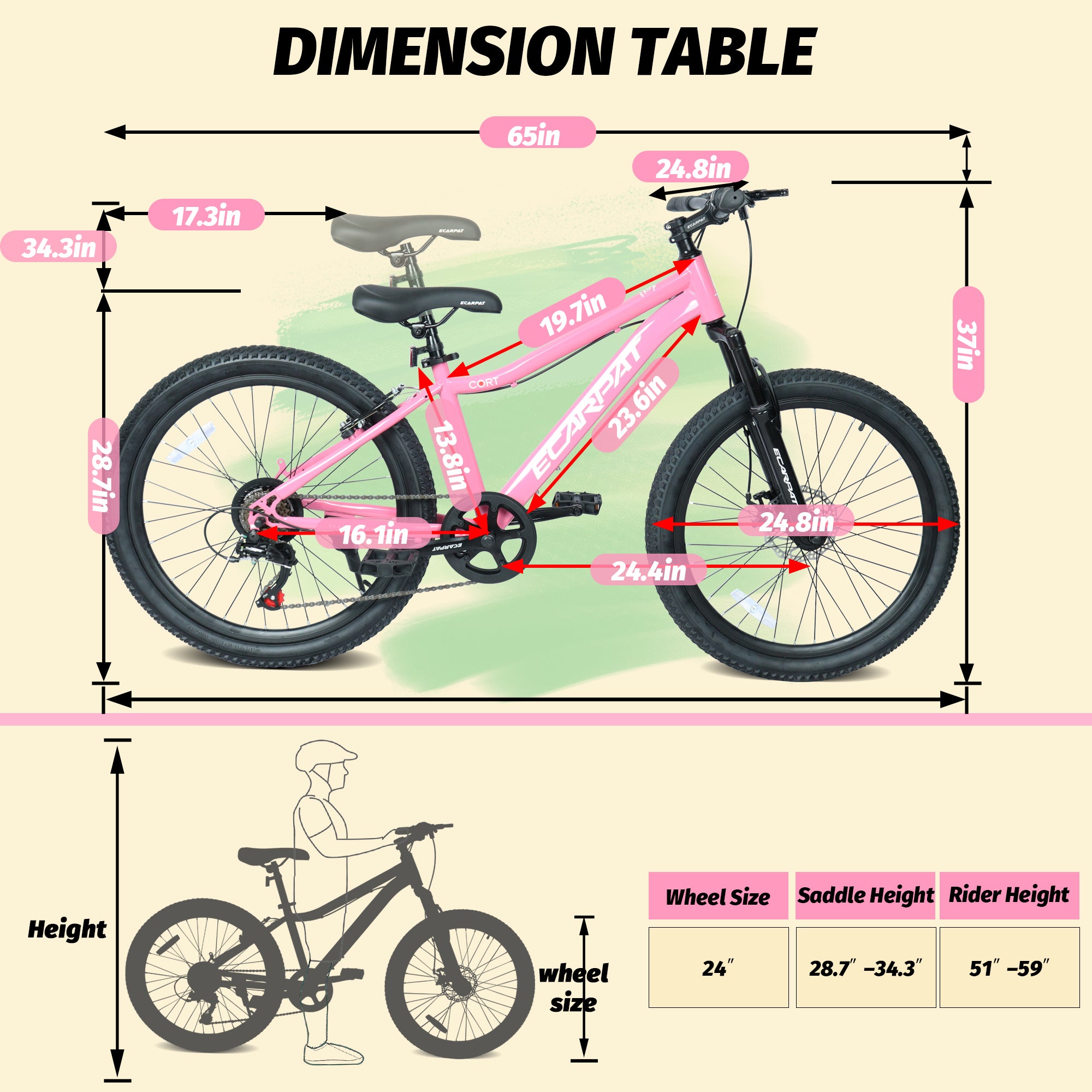 d91d1ebae9ffc5fa9192d572a931a2ae